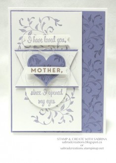 SUDSOL Pins | Popular