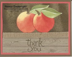 http://imastamping.blogspot.com/2016/04/apple-of-my-eye-peachy-thank-you.html