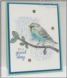 Best Birds by Connie Babbert