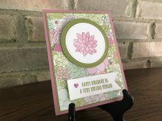 April 2017 – OnStage Savannah – Diane Lethbridge