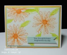 Thanks with Daisy Delight