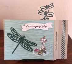2017 OnStageLive Card Front Swap – Sue Erickson – popped open