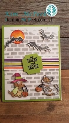 Trick or Treat Halloween Card | StampinMcPeek.com