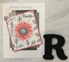 Robbier52