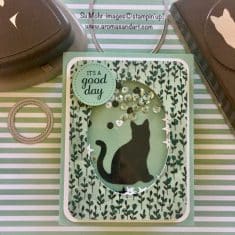 Cat Punch Shaker Birthday Card – Aromas and Art