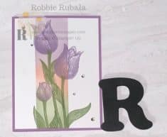 Robbier52 ~ current