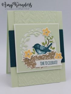 Stampin’ Up! Birds & Branches Birthday Card With Video Tutorial – Stamp With Amy K