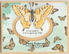 Imastamping in Indiana: Butterfly Brilliance – Pop-Up and Flip Card